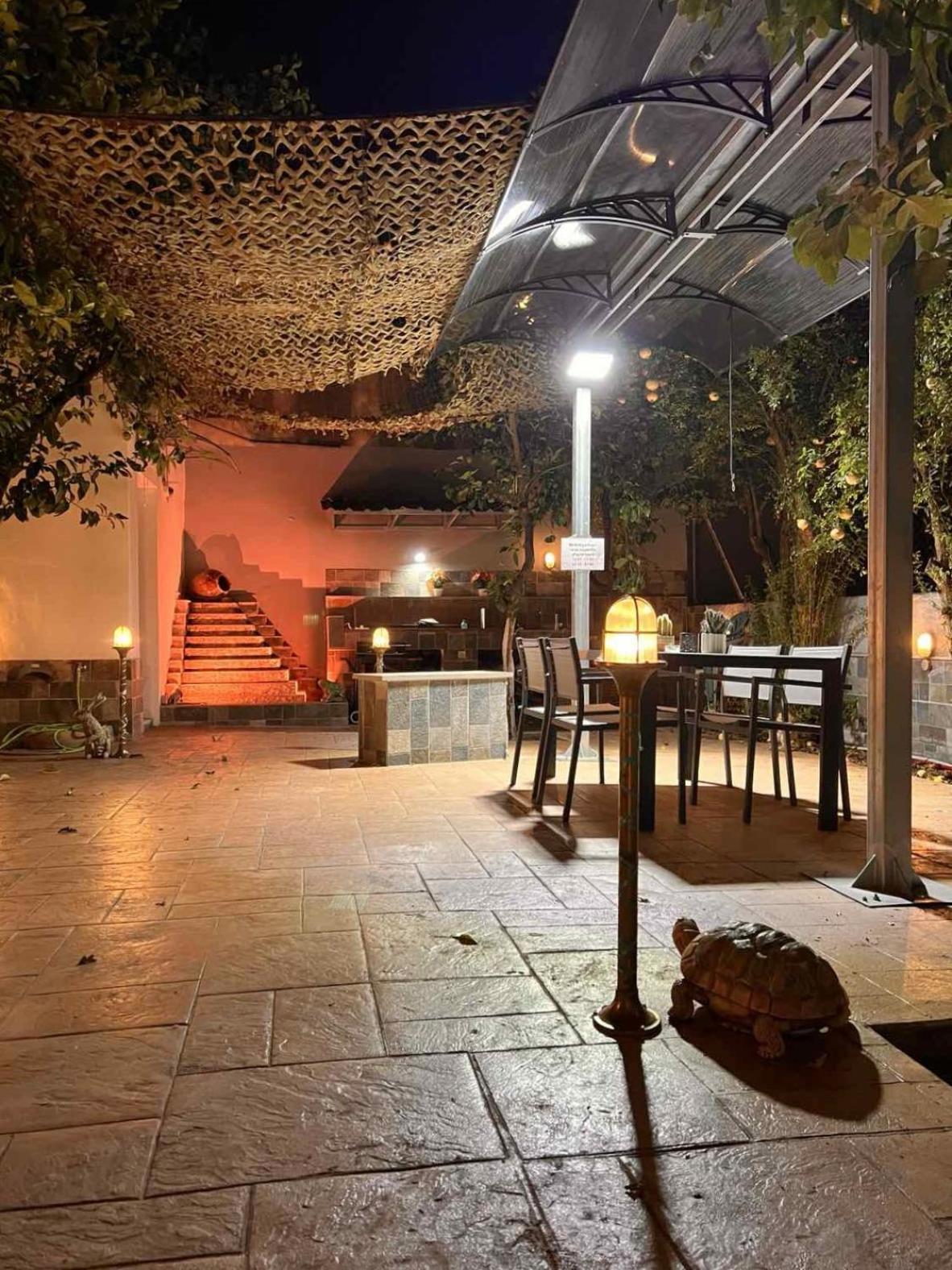 Hidden garden 10’ walking to Acropolis Appartement Athene Buitenkant foto
